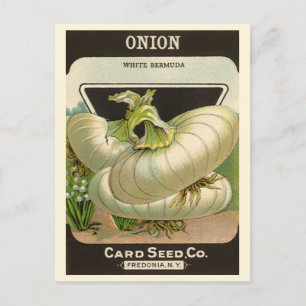 Vintage Seed Packet Label Art White Bermuda Onions Vykort