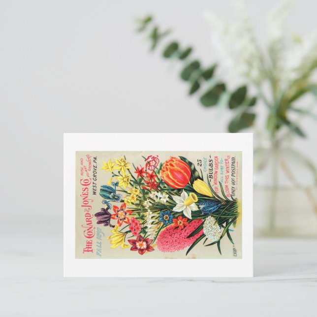 Vintage Seed Packet Postcard Vykort (Stående Fram)