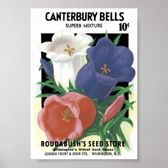 Vintage Seed Packet Poster (Framsidan)