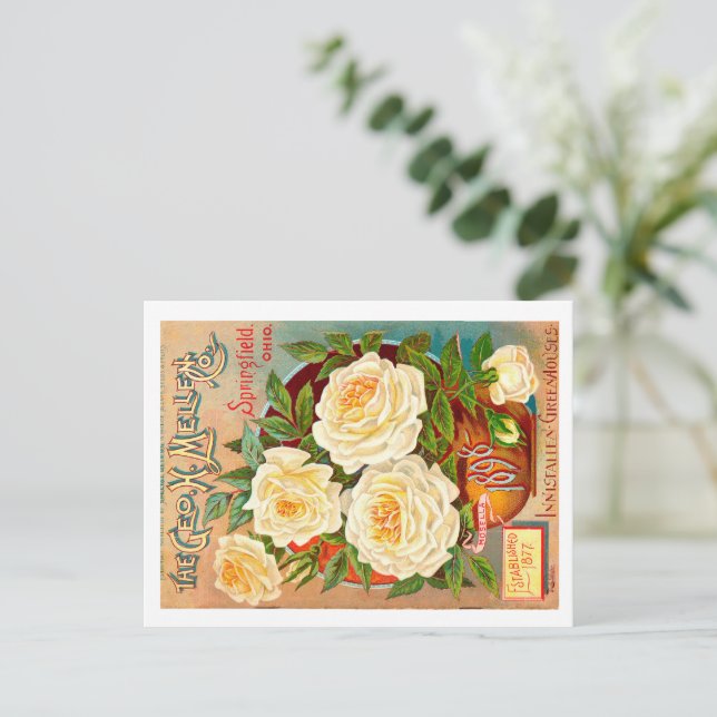 Vintage Seed Packet. Vykort (Stående Fram)