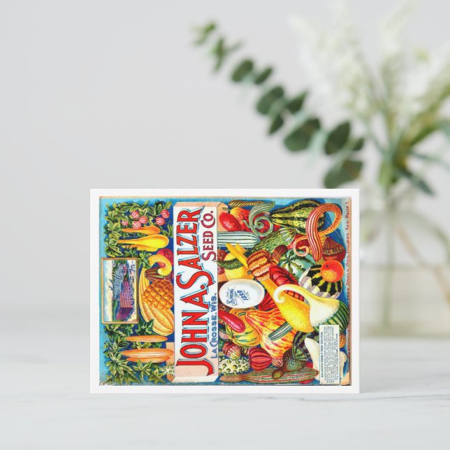 Vintage Seed Packet. Vykort (Stående Fram)