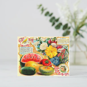 Vintage Seed-paket. Vykort