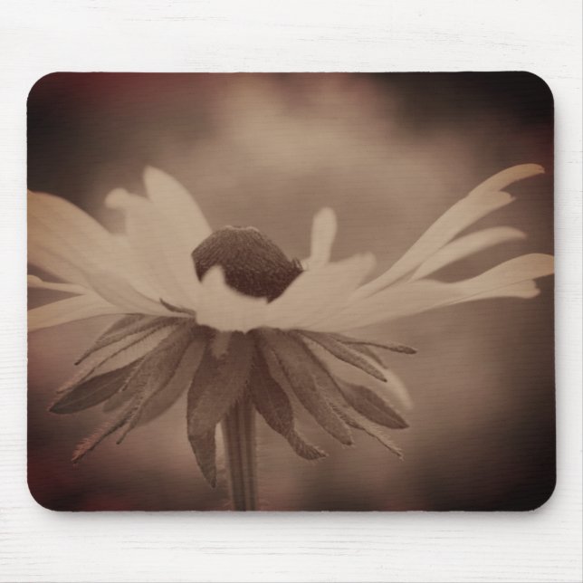 Vintage Sepia Black Eyed Susan Flower Musmatta (Framsidan)