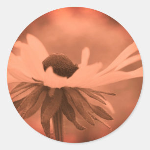 Vintage Sepia Black Eyed Susan Flower Runt Klistermärke