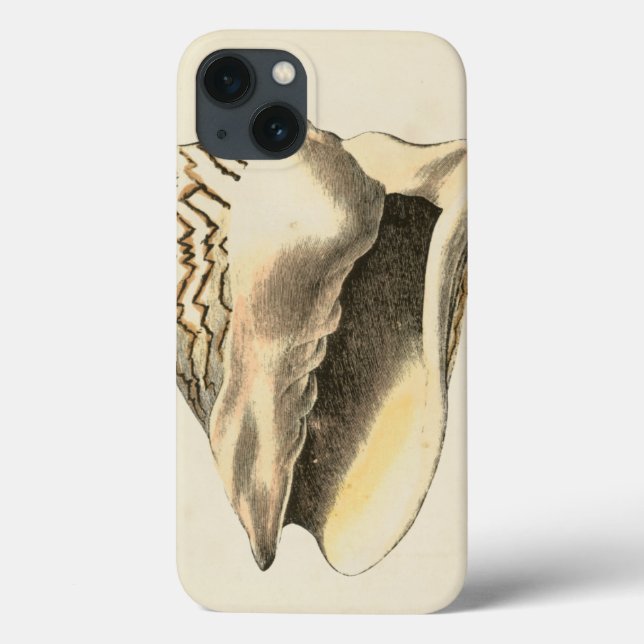 Vintage Sepia Conch-Snäcka (Baksida)