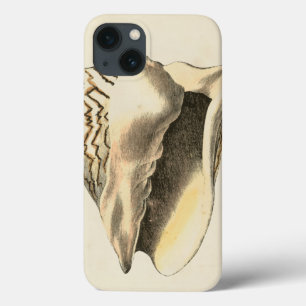 Vintage Sepia Conch-Snäcka