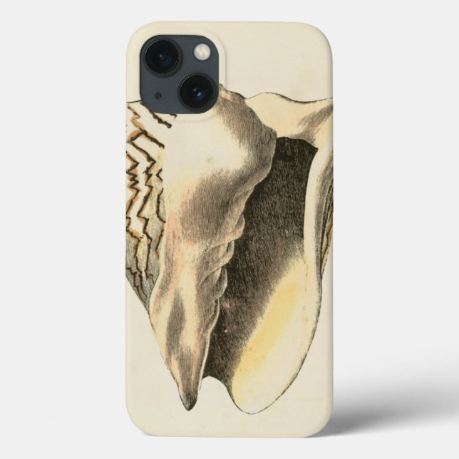 Vintage Sepia Conch-Snäcka (Baksida)