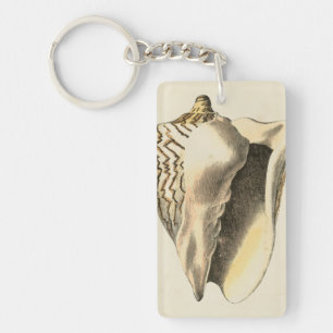 Vintage Sepia Conch-Snäcka