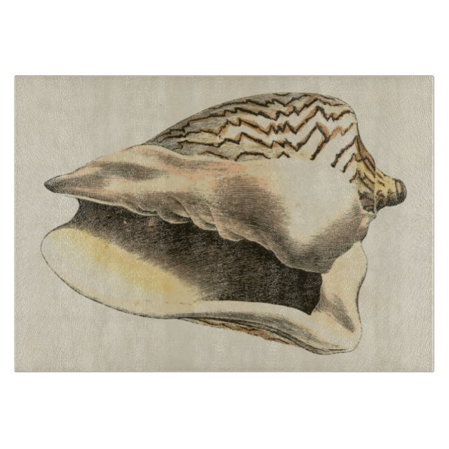 Vintage Sepia Conch-Snäcka (Framsidan)