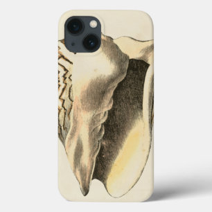 Vintage Sepia Conch-Snäcka