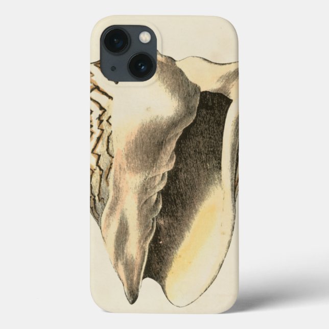 Vintage Sepia Conch-Snäcka (Baksida)