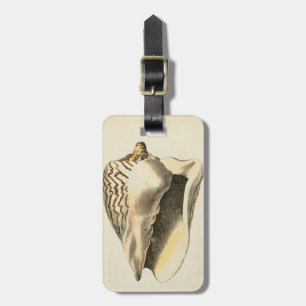 Vintage Sepia Conch-Snäcka Bagagebricka