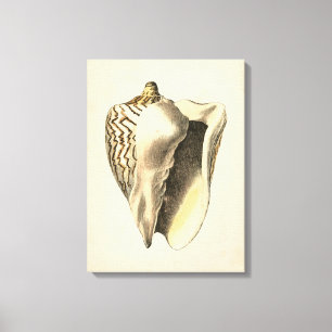 Vintage Sepia Conch-Snäcka Canvastryck