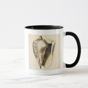 Vintage Sepia Conch-Snäcka Mugg
