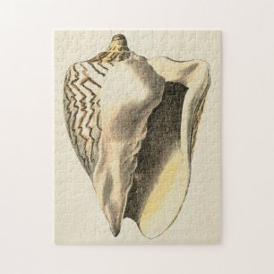 Vintage Sepia Conch-Snäcka Pussel