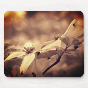 Vintage Sepia Dogwood Blommars Flower Musmatta