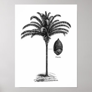 Vintage Sepia Retro Brazilian Handflatan Träd mall Poster