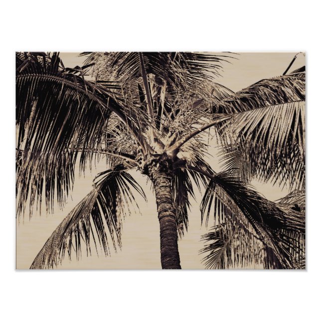 Vintage Sepia Retro Hawaiian Handflatan Träd mall Fototryck (Framsidan)