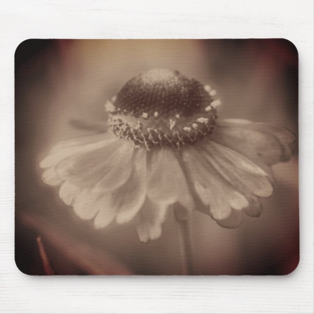 Vintage Sepia Zinnia Flower Musmatta (Framsidan)