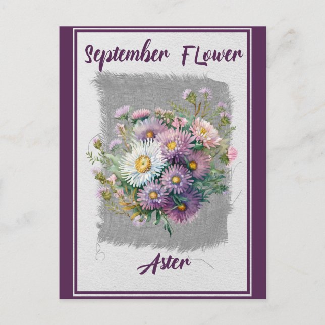 Vintage septemberblomma Aster Blomma Vykort (Framsida)