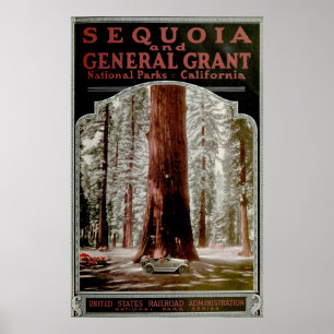 Vintage Sequoia nationalpark Illustrative Poster
