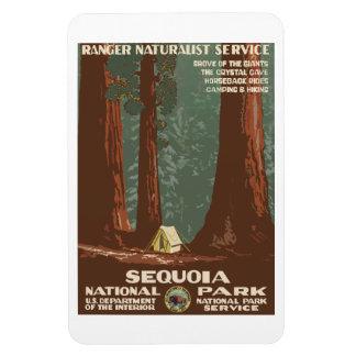 Vintage Sequoia Park CA, turistreseaffisch. Magnet
