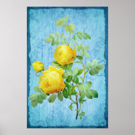 Vintage Shabby chic Gul ros på blått trä Poster