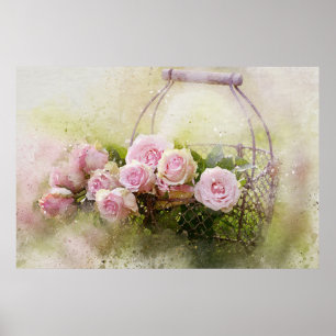 Vintage Shabby chic Watercolor Rosa ros i Bas Poster