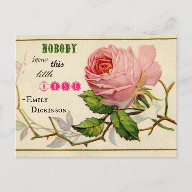 Vintage Shabby Rosa ros vykort (Framsida)