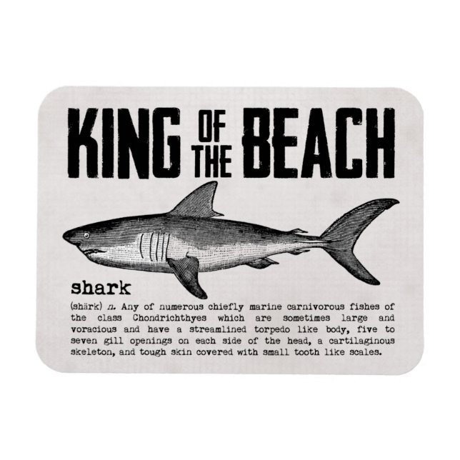 Vintage Shark and Definition Beach Kung Magnet (Horisontell)