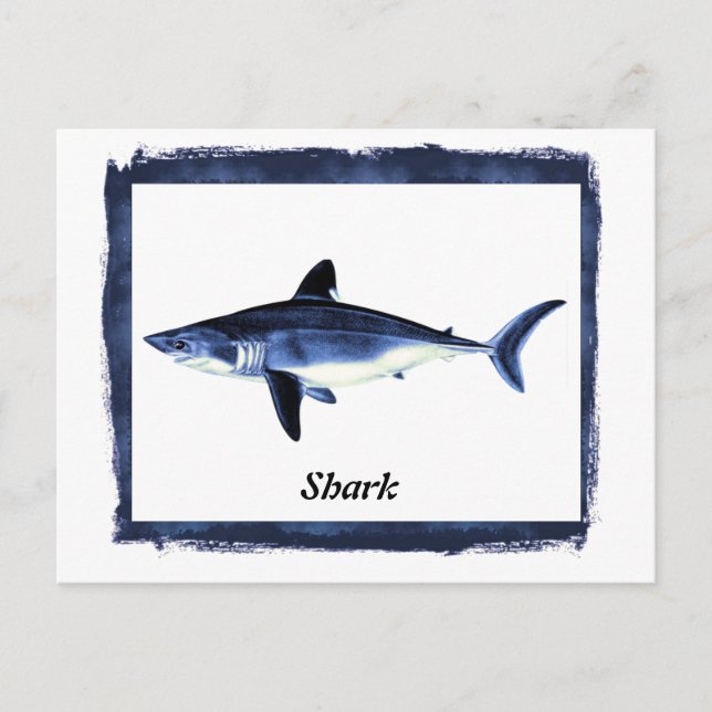 Vintage Shark i Svarta Ram Vykort (Framsida)