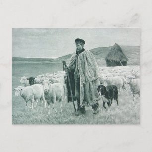 Vintage Shepherd & Sheepdog with Sheep Helg Vykort