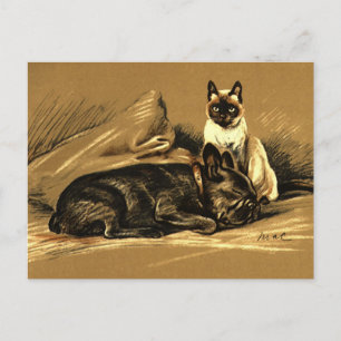 Vintage Siamese Cat and Fransk Bulldog Vykort