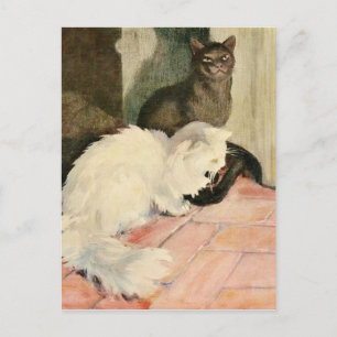 Vintage Silky Black Cat & Fluffy White-Kattdjur Meddelande Vykort
