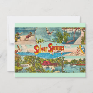Vintage Silver Springs-attraktion Vykort