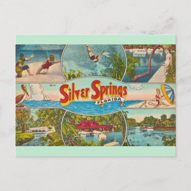Vintage Silver Springs-attraktion  Vykort (Framsida)