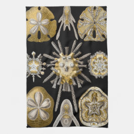 Vintage sjöborrar sanddollar av Ernst Haeckel Kökshandduk