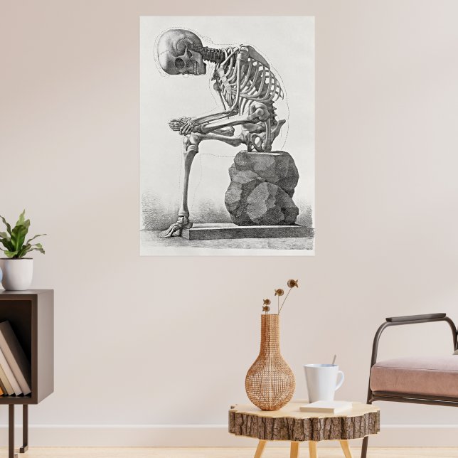 Vintage Skeleton Anatomy Poster (Vardagsrum 3)