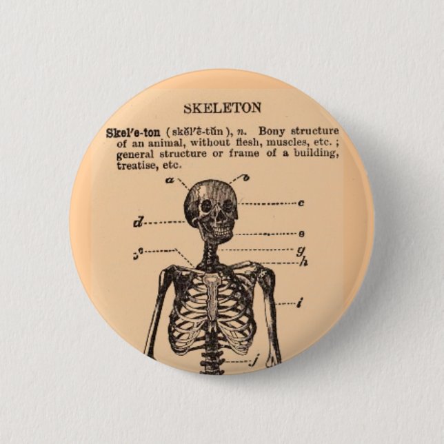 Vintage Skeleton Definition Knapp (Framsida)