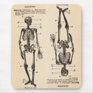 Vintage"Skeleton" Definition Musmatta