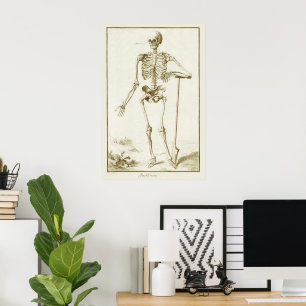Vintage Skeleton, mänskligt anatomi av Denis Dider Poster