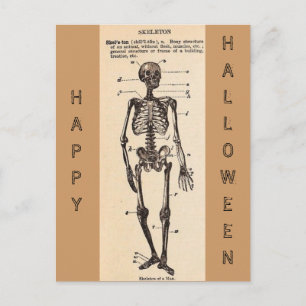 Vintage "Skeleton" - vykort