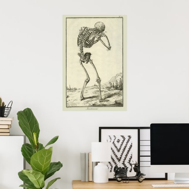 Vintage Skelett, Människans Anatomi av Denis Dider Poster (Hemmakontoret)