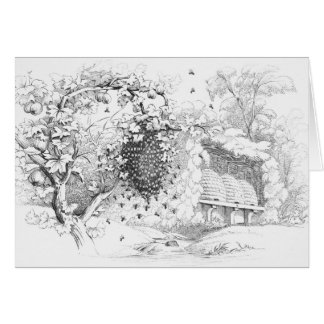 Vintage Skep Bee Hives Teckning Hälsningskort