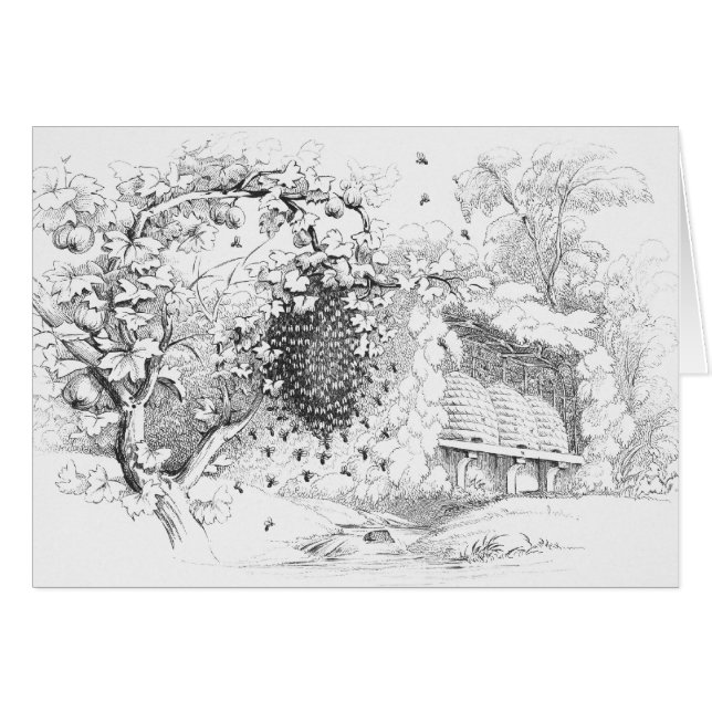 Vintage Skep Bee Hives Teckning Hälsningskort (Framsidan Horizontal)