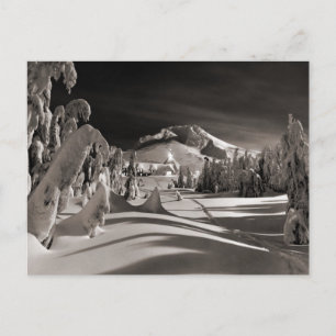 Vintage skidbild, Ski-spår genom träd Vykort