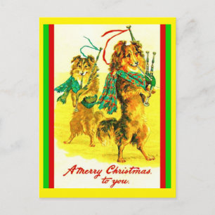 Vintage skotska collies, säckpipa God Jul Vykort