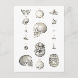 Vintage Skull och benzoomning Vykort