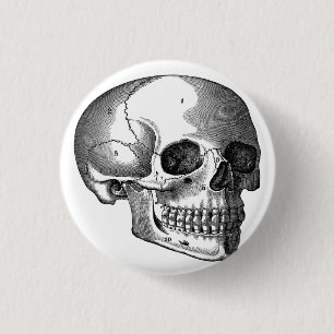Vintage Skulldiagram Knappnål Knapp