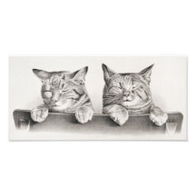 Vintage Sleeping Cats Lithograph, 1874